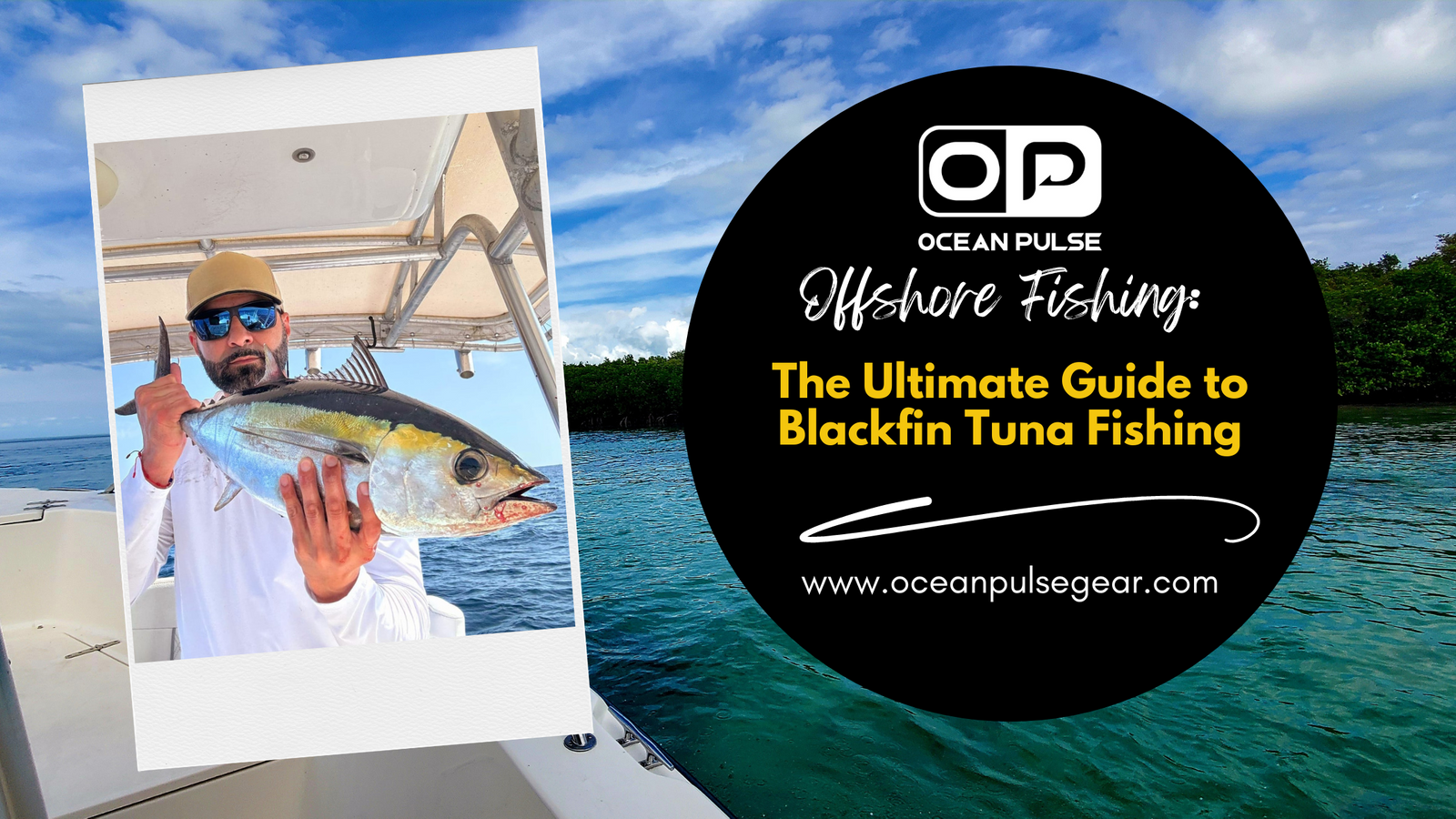 How to catch blackfin tuna