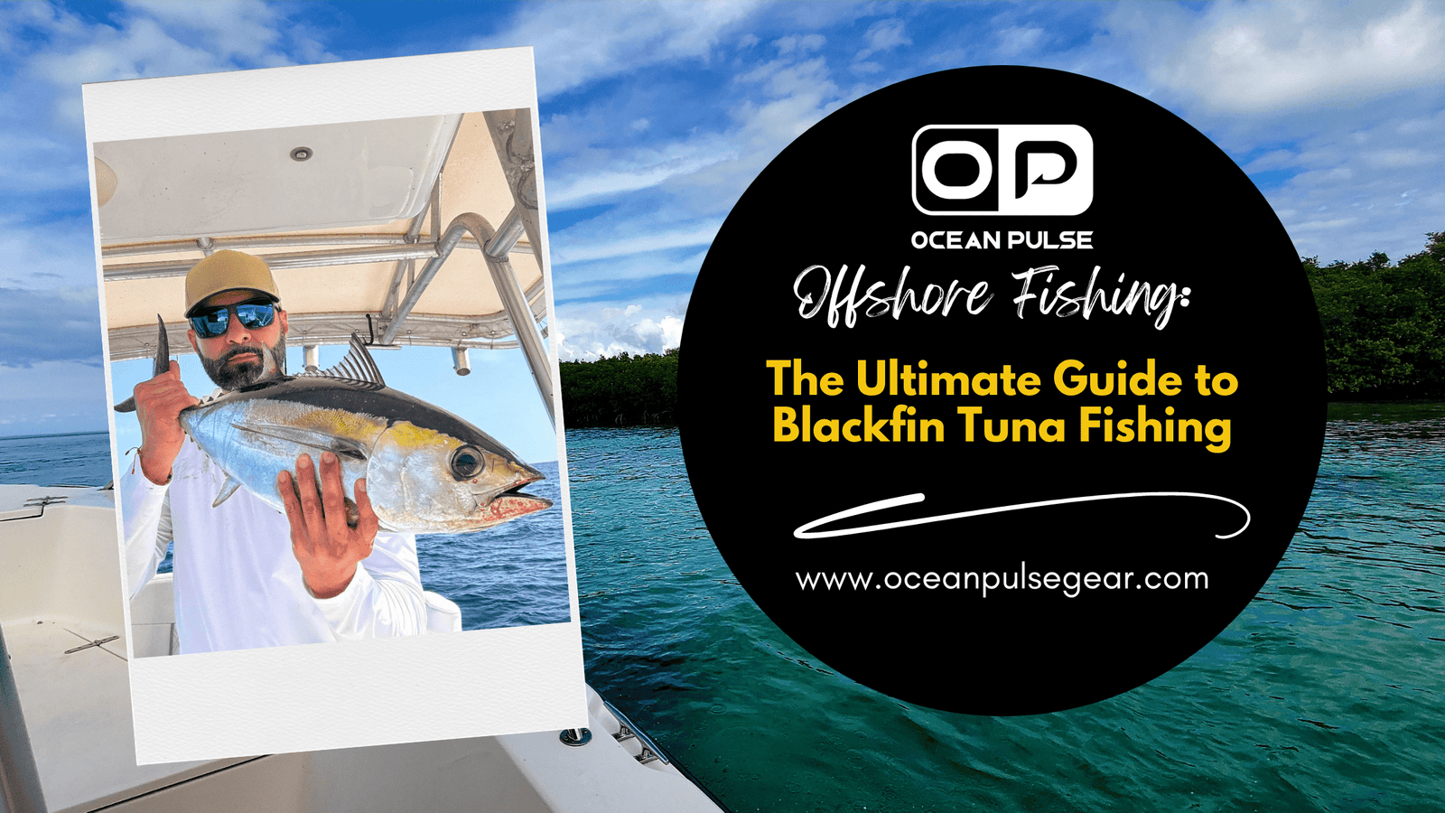 The Ultimate Guide to Blackfin Tuna Fishing - Ocean Pulse Gear