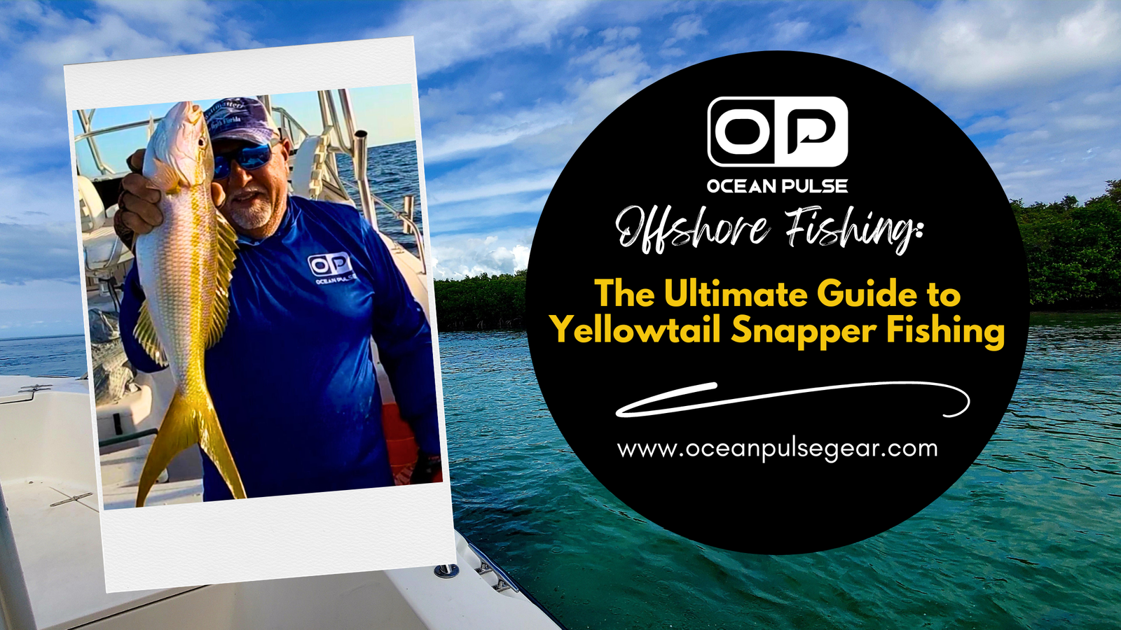 The Ultimate Guide to Yellowtail Snapper Fishing - Ocean Pulse Gear