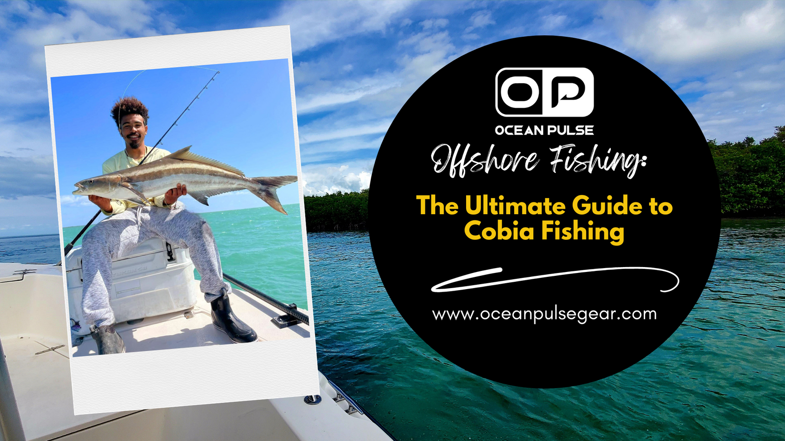 The Ultimate Guide to Cobia Fishing