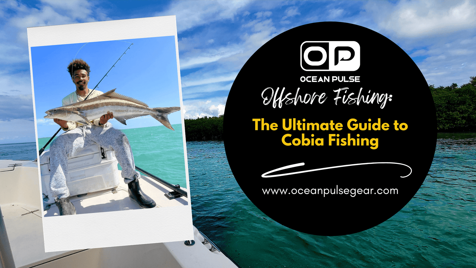 The Ultimate Guide to Cobia Fishing - Ocean Pulse Gear